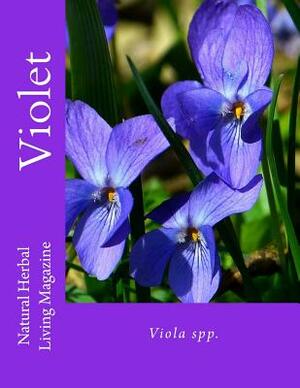 Violet: Viola spp. by Amanda Klenner