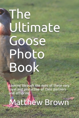 The Ultimate Goose Photo Book: Looking through the eyes of these very loyal and protective of their partners and offspring by Matthew Brown