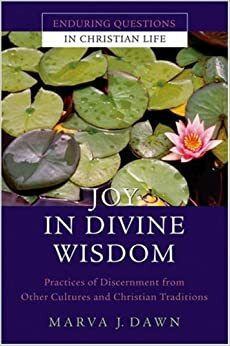 Joy in Divine Wisdom: Practices of Discernment from Other Cultures and Christian Traditions by Marva J. Dawn