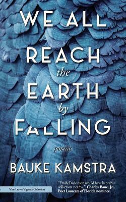We All Reach the Earth by Falling by Bauke Kamstra