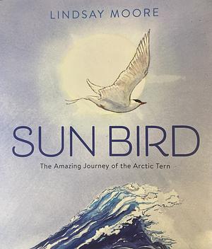 Sun Bird: The Amazing Journey of the Arctic Tern by Lindsay Moore