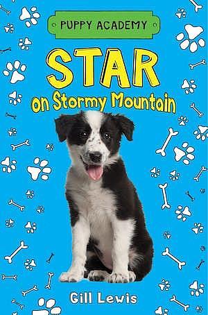 Star on Stormy Mountain by Gill Lewis