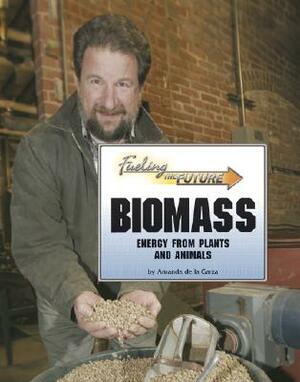 Biomass: Energy from Plants and Animals by Amanda De La Garza