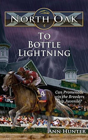 To Bottle Lightning by Ann Hunter