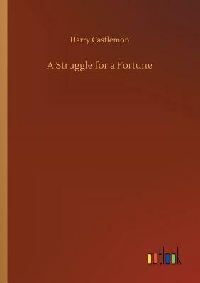 A Struggle for a Fortune by Harry Castlemon