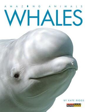 Whales by Kate Riggs