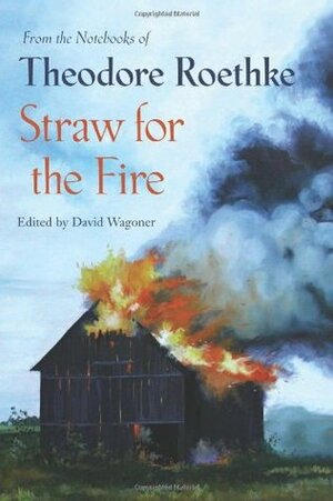 Straw for the Fire: From the Notebooks of Theodore Roethke by Theodore Roethke, David Wagoner
