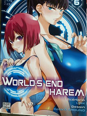 World's End Harem Vol. 6 by Link