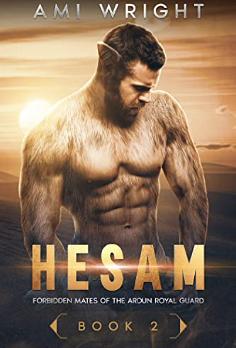 Hesam by Ami Wright