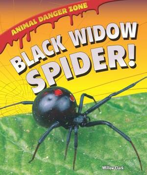 Black Widow Spider! by Willow Clark