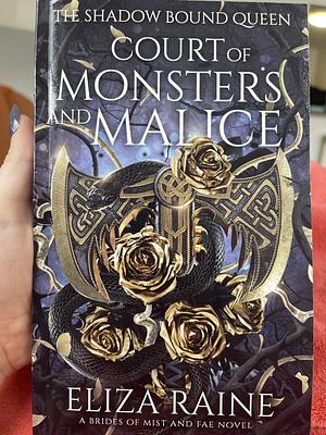 Court of Monsters and Malice: A Brides of Mist and Fae Novel by Eliza Raine