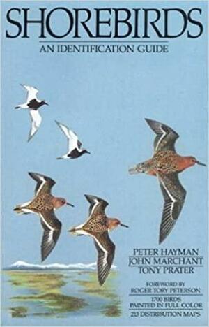 Shorebirds: An Identification Guide to the Waders of the World by Peter Hayman, John Marchant