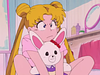 shleyshley's profile picture