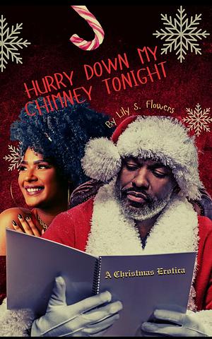 Hurry Down the Chimney Tonight  by Lily S. Flowers