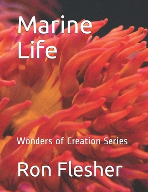 Marine Life: Wonders of Creation Series by Ron Flesher