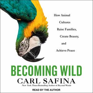 Becoming Wild: How Animals Learn to Be Animals by Carl Safina