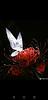 sunflower_shower57's profile picture