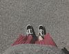 ines_santos's profile picture
