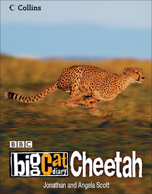 Big Cat Diary: Cheetah by Angela Scott, Jonathan Scott