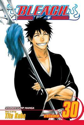 Bleach, Volume 30: There Is No Heart Without You by Tite Kubo