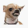 nickrseitz's profile picture