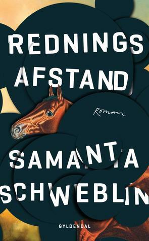 Redningsafstand by Samanta Schweblin