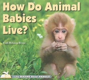How Do Animal Babies Live? by Faith Hickman Brynie