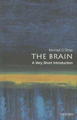 The Brain: A Very Short Introduction by Michael O'Shea