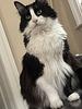 calidareads's profile picture