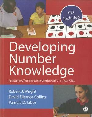 Developing Number Knowledge: Assessment, Teaching and Intervention with 7-11 Year Olds by Robert J. Wright, Pamela D. Tabor, David Ellemor-Collins