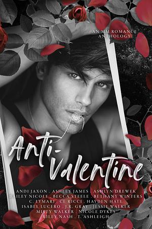 Anti-Valentine by Ashley James, Riley Nash, CE Ricci, Bethany Winters, Jessie Walker, Andi Jaxon, Isabel Lucero, Ashlyn Drewek, Nicole Dykes, Hayden Hall, T. Ashleigh, C. Lymari, J.R. Gray, Becca Steele, Bailey Nicole, Misty Walker