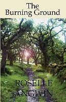 The Burning Ground by Roselle Angwin