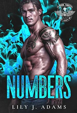 Numbers by Lily J. Adams