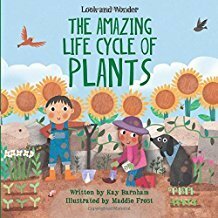 The Amazing Life Cycle of Plants by Kay Barnham