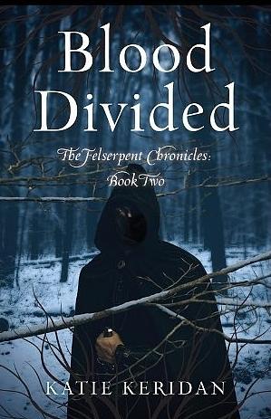 Blood Divided by Katie Keridan