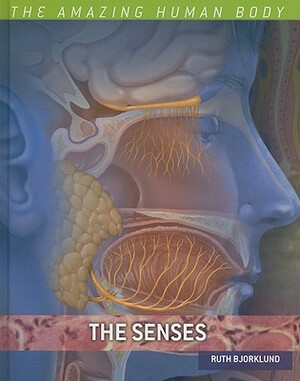 The Senses by Ruth Bjorklund