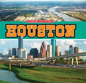 Houston by Lyn Sirota