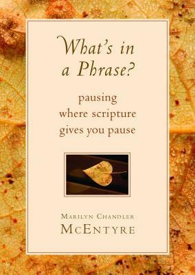 What's in a Phrase?: Pausing Where Scripture Gives You Pause by Marilyn Chandler McEntyre