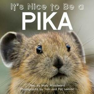 It's Nice to Be a Pika by Molly Woodward