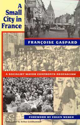 A Small City in France by Arthur Goldhammer, Eugen Weber, Françoise Gaspard