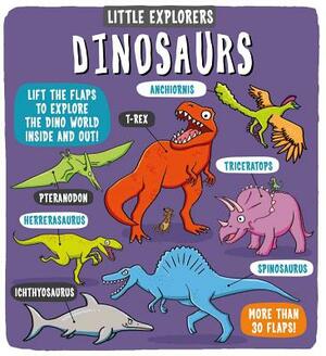 Little Explorers: Dinosaurs by Little Bee Books