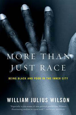More Than Just Race: Being Black and Poor in the Inner City by William Julius Wilson