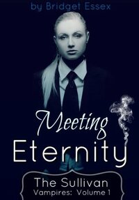 Meeting Eternity by Bridget Essex