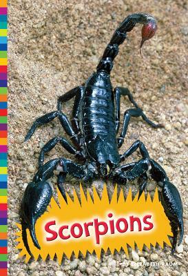 Scorpions by Elizabeth Raum