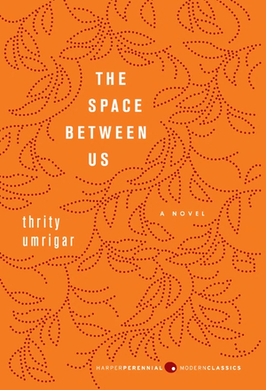 The Space Between Us by Thrity Umrigar