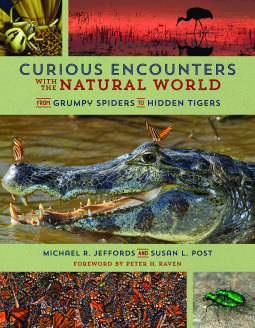 Curious Encounters with the Natural World: From Grumpy Spiders to Hidden Tigers by Michael R. Jeffords, Susan L. Post