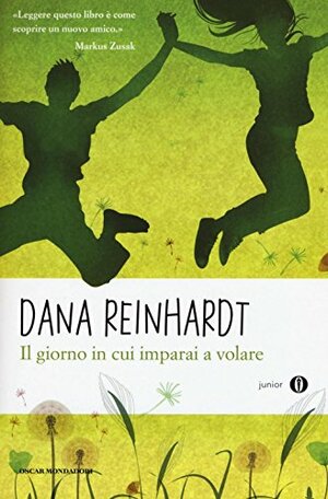 Il giorno in cui imparai a volare by Dana Reinhardt