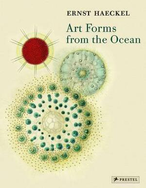 Art Forms from the Ocean: The Radiolarian Prints of Ernst Haeckel by Olaf Breidbach