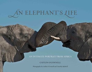 An Elephant's Life: An Intimate Portrait from Africa by Caitlin O'Connell
