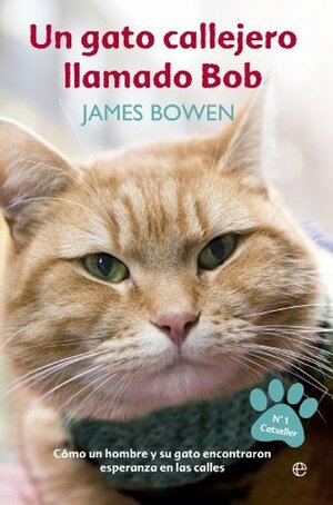 Un gato callejero llamado Bob by Paz Pruneda, James Bowen